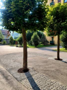 Promenada 2